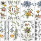 IOD Transfer Fairytale Florals