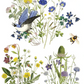 IOD Transfer Flora Greca