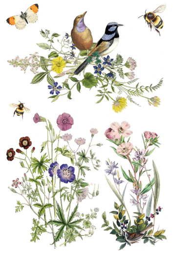 IOD Transfer Flora Greca