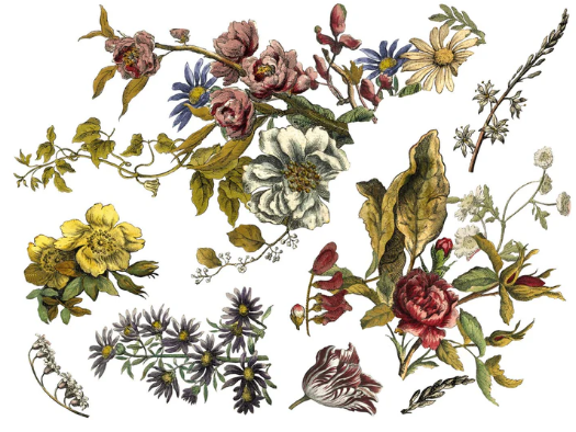 IOD Transfer Floral Anthology