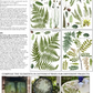 IOD Transfer Fronds Botanical