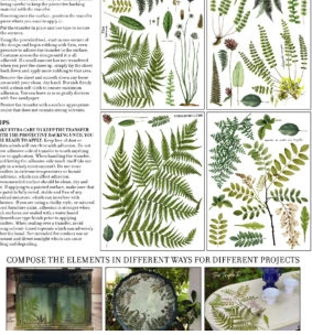 IOD Transfer Fronds Botanical