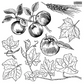 IOD Stamp Fruitful Harvest