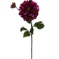 GN Hampstead Dahlia Magenta