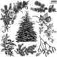 IOD Decor Stamp 30.5 x 30.5cm - Holly & Pine