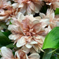 GN Cottage Dahlia Pink