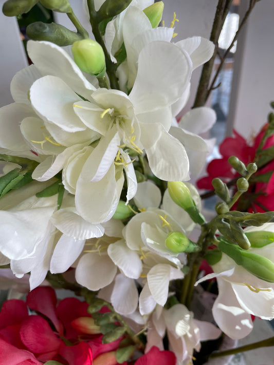 GN Freesia - White