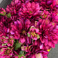 GN Hampstead Dahlia Magenta
