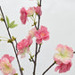 GN Japanese Cherry Bloss Pink