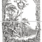 IOD PI La Chasse