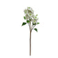 GN Lilac Stem White