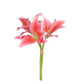 Lily Bundle - Pink