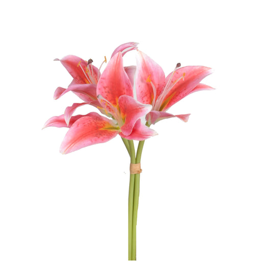 Lily Bundle - Pink