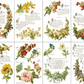 IOD Transfer Lover of Flowers