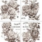IOD Transfer May's Roses