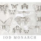 IOD Mould Monarch