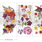 Redesign with Prima Transfer Mini - Organic Flora