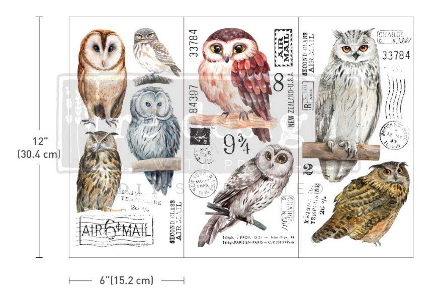Redesign with Prima Transfer Mini - Owl