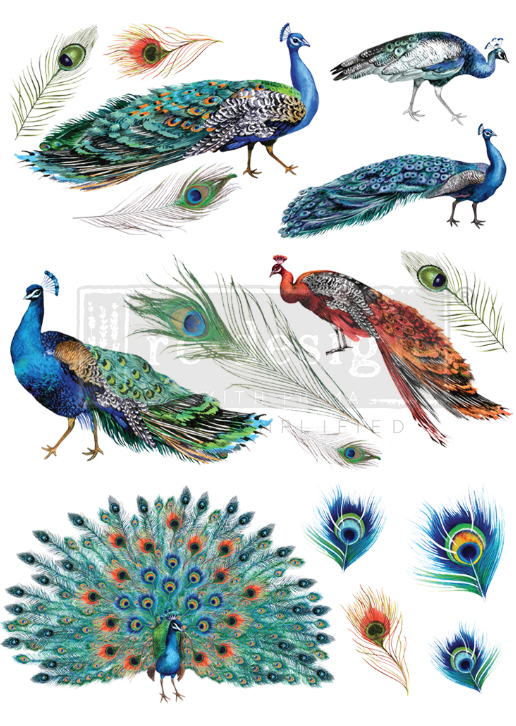 Redesign with Prima Transfer Large -Peacock Dreams