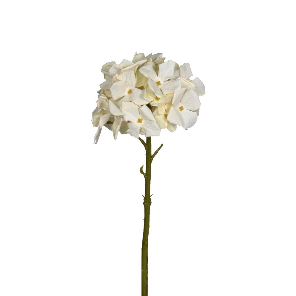 GN Petite Hydraenga Cream