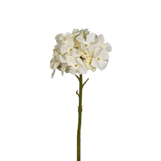 GN Petite Hydraenga Cream