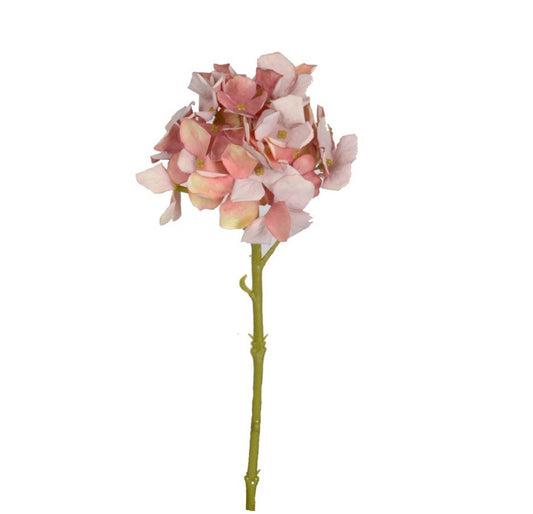 GN Petite Hydraenga Mix Pink
