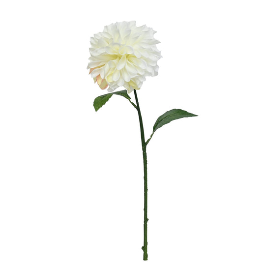 GN Pompom Dahlia White