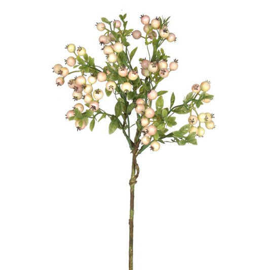 Rattan Berries - Blush Pink