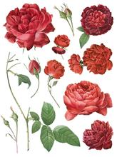 IOD Decor Transfer Pad 31 x 41cm - Redoute II - 8 sheets
