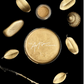 TAC Metallic Somerset Gold