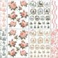 IOD PI Spring Melody
