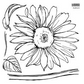 IOD Decor Stamp 30.5 x 30.5cm - Sunflowers 2 sheets and masks)