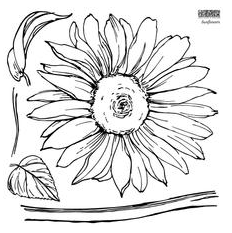 IOD Decor Stamp 30.5 x 30.5cm - Sunflowers 2 sheets and masks)