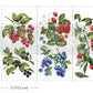 Redesign with Prima Transfer Mini - Sweet Berries