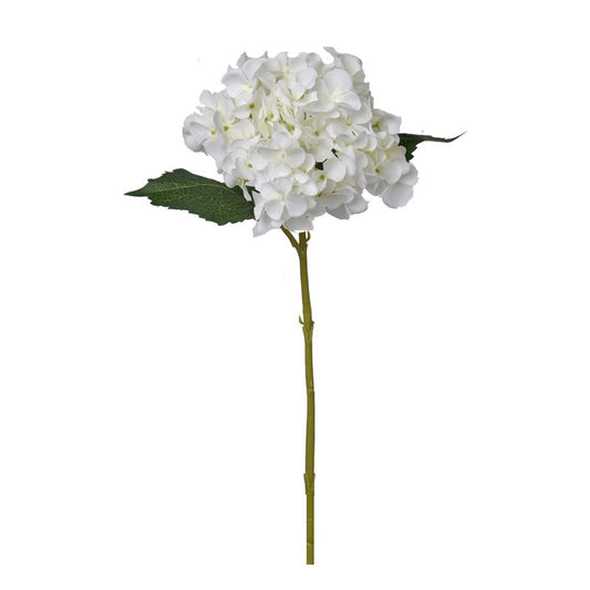 GN Vintage Hortensia - White