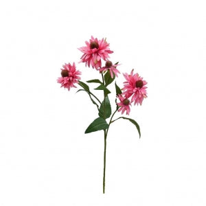 GN Wild Chrysanthemum Pink
