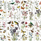 IOD Transfer Wilde Bloemen