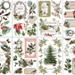 IOD Transfer Winter Botanist