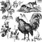 La Campagne IOD Decor Stamp