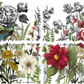 IOD Transfer Midnight Garden