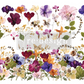 Redesign with Prima Transfer Large - Pressed Flowers
