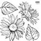 IOD Decor Stamp 30.5 x 30.5cm - Sunflowers 2 sheets and masks)