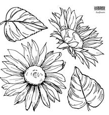 IOD Decor Stamp 30.5 x 30.5cm - Sunflowers 2 sheets and masks)