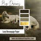 Luxe Decoupage Paper Big Dreams